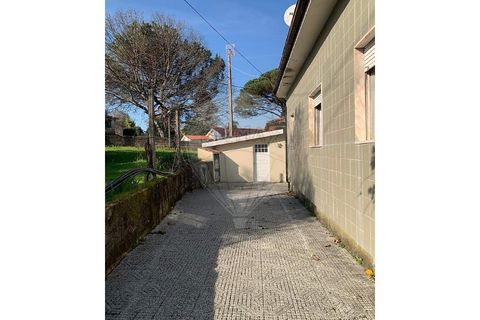 Villa i Chorense e Monte, Braga, Chorense e Monte - € 229.000 | Ref: 126971021-48 - foto 30