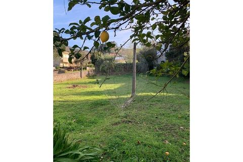 Villa i Chorense e Monte, Braga, Chorense e Monte - € 229.000 | Ref: 126971021-48 - foto 31