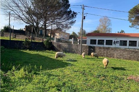 Villa i Chorense e Monte, Braga, Chorense e Monte - € 229.000 | Ref: 126971021-48 - foto 34