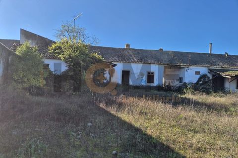 Villa i Alpiarca, Santarem, Alpiarca - € 285.000 | Ref: 100.001.879 - foto 2