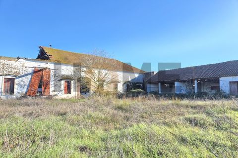 Villa i Alpiarca, Santarem, Alpiarca - € 285.000 | Ref: 100.001.879 - foto 3