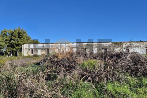 Villa i Alpiarca, Santarem, Alpiarca - € 285.000 | Ref: 100.001.879 - foto 4