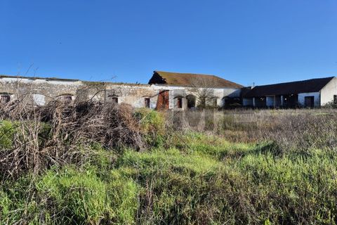 Villa i Alpiarca, Santarem, Alpiarca - € 285.000 | Ref: 100.001.879 - foto 5