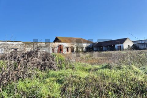Villa i Alpiarca, Santarem, Alpiarca - € 285.000 | Ref: 100.001.879 - foto 6