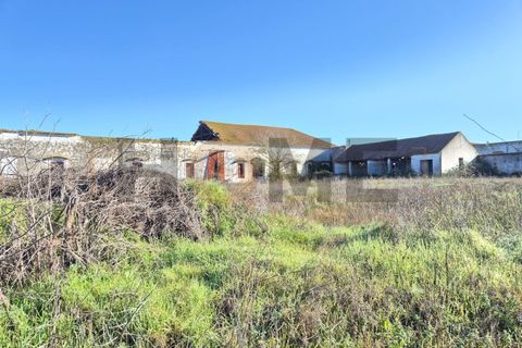 Villa i Alpiarca, Santarem, Alpiarca - € 285.000 | Ref: 100.001.879 - foto 7