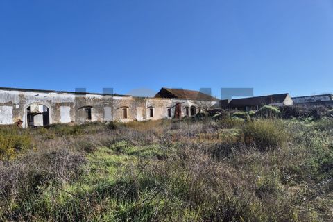 Villa i Alpiarca, Santarem, Alpiarca - € 285.000 | Ref: 100.001.879 - foto 8