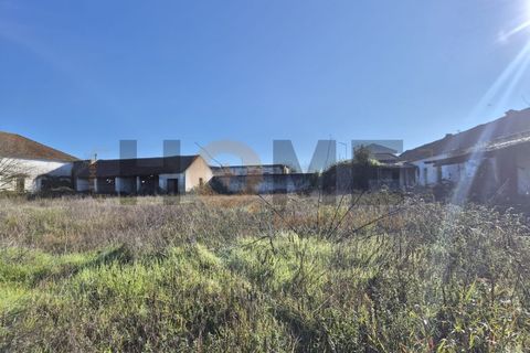 Villa i Alpiarca, Santarem, Alpiarca - € 285.000 | Ref: 100.001.879 - foto 9