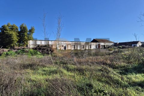 Villa i Alpiarca, Santarem, Alpiarca - € 285.000 | Ref: 100.001.879 - foto 10