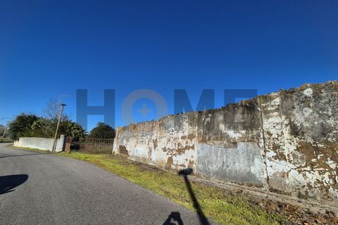 Villa i Alpiarca, Santarem, Alpiarca - € 285.000 | Ref: 100.001.879 - foto 11