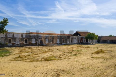 Villa i Alpiarca, Santarem, Alpiarca - € 285 000 | Ref: 100.001.879 - foto 3