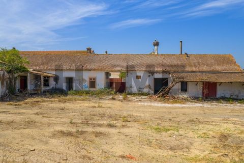 Villa i Alpiarca, Santarem, Alpiarca - € 285 000 | Ref: 100.001.879 - foto 4