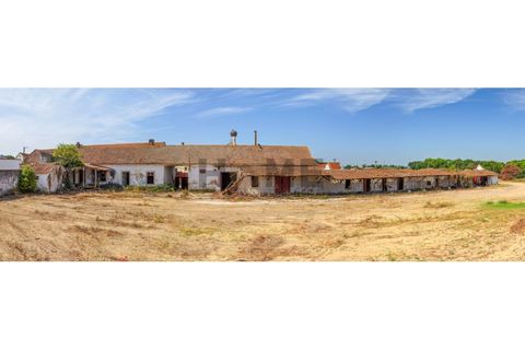 Villa i Alpiarca, Santarem, Alpiarca - € 285 000 | Ref: 100.001.879 - foto 5