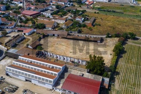 Villa i Alpiarca, Santarem, Alpiarca - € 285 000 | Ref: 100.001.879 - foto 6