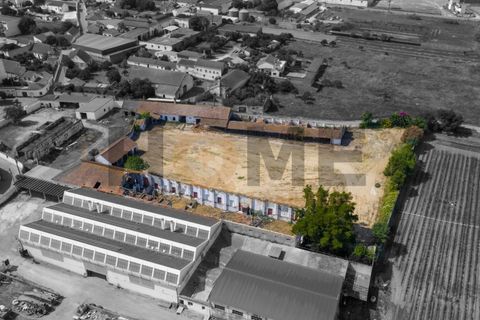 Villa i Alpiarca, Santarem, Alpiarca - € 285 000 | Ref: 100.001.879 - foto 7