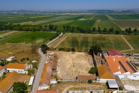 Villa i Alpiarca, Santarem, Alpiarca - € 285 000 | Ref: 100.001.879 - foto 8