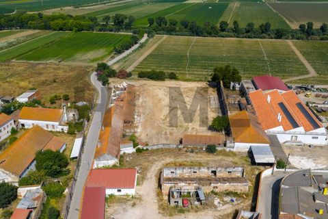 Villa i Alpiarca, Santarem, Alpiarca - € 285 000 | Ref: 100.001.879 - foto 9