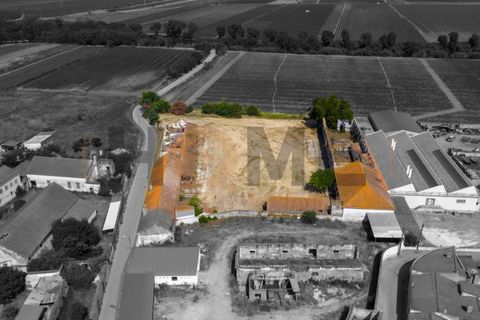 Villa i Alpiarca, Santarem, Alpiarca - € 285 000 | Ref: 100.001.879 - foto 10
