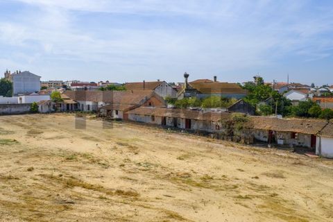 Villa i Alpiarca, Santarem, Alpiarca - € 285 000 | Ref: 100.001.879 - foto 11