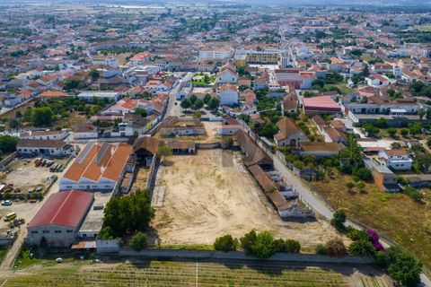 Villa i Alpiarca, Santarem, Alpiarca - € 285 000 | Ref: 100.001.879 - foto 13