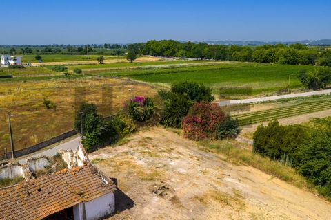 Villa i Alpiarca, Santarem, Alpiarca - € 285 000 | Ref: 100.001.879 - foto 14