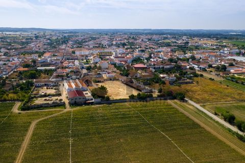 Villa i Alpiarca, Santarem, Alpiarca - € 285 000 | Ref: 100.001.879 - foto 17
