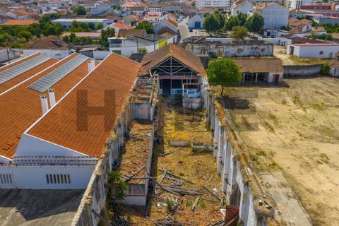 Villa i Alpiarca, Santarem, Alpiarca - € 285 000 | Ref: 100.001.879 - foto 21