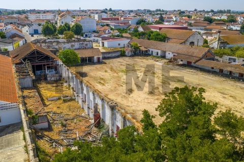 Villa i Alpiarca, Santarem, Alpiarca - € 285 000 | Ref: 100.001.879 - foto 22