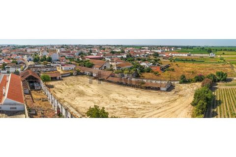 Villa i Alpiarca, Santarem, Alpiarca - € 285 000 | Ref: 100.001.879 - foto 23