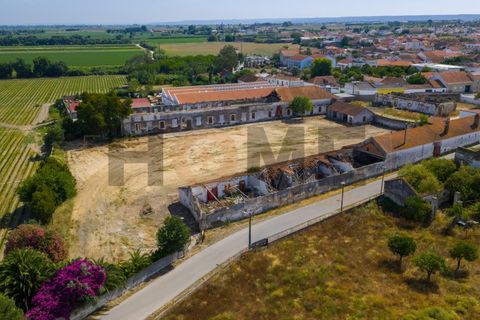 Villa i Alpiarca, Santarem, Alpiarca - € 285 000 | Ref: 100.001.879 - foto 24