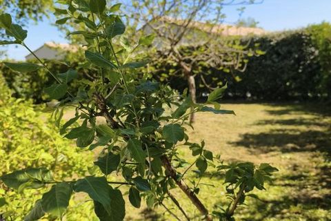 Villa i Martinet, Vendee, Martinet - € 169.000 | Ref: DOM31214 - foto 3