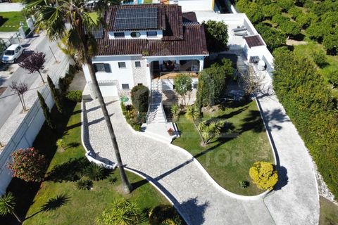 Villa i Sesimbra, Setubal, Sesimbra - € 749.000 | Ref: HAB_231 - foto 2