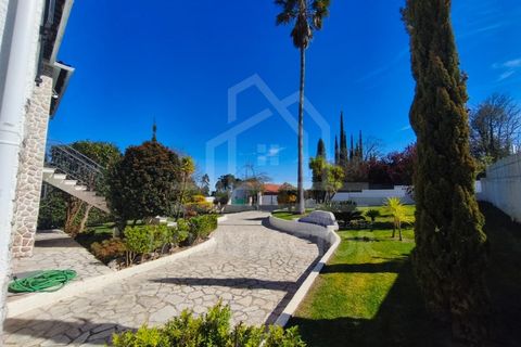 Villa i Sesimbra, Setubal, Sesimbra - € 749.000 | Ref: HAB_231 - foto 38