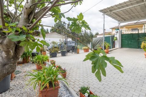 Villa i Mortagua, Viseu, Mortagua - € 260.000 | Ref: ADF_75 - foto 39
