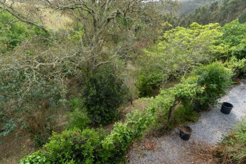 Villa i Mortagua, Viseu, Mortagua - € 260.000 | Ref: ADF_75 - foto 41