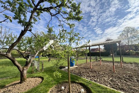 Villa a Buswiller, Bas-Rhin, Buswiller - € 288.400 | Ref: 56_V1020063784 - foto 3