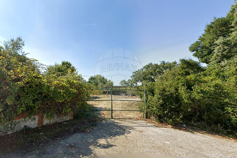 Helårsgrund i Setubal, Setubal, Setubal - € 3.250.000 | Ref: 120171255-304 - foto 8