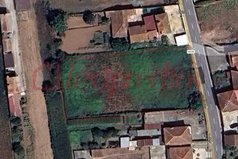 Helårsgrund i Agueda, Aveiro, Agueda - € 80.000 | Ref: AG 4368 - foto 2