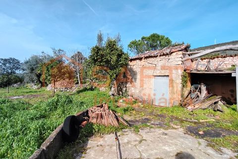 Villa a Alvaiazere, Leiria, Alvaiazere - € 56.500 | Ref: SAFTI:007747 - foto 19