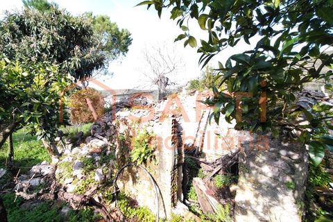 Villa a Alvaiazere, Leiria, Alvaiazere - € 56.500 | Ref: SAFTI:007747 - foto 27