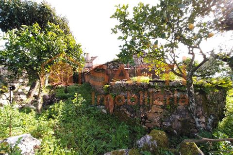 Villa a Alvaiazere, Leiria, Alvaiazere - € 56.500 | Ref: SAFTI:007747 - foto 31