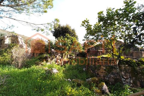Villa a Alvaiazere, Leiria, Alvaiazere - € 56.500 | Ref: SAFTI:007747 - foto 32
