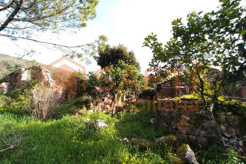 Villa a Alvaiazere, Leiria, Alvaiazere - € 56.500 | Ref: SAFTI:007747 - foto 33