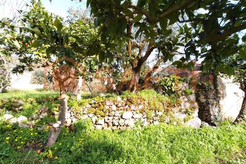 Villa a Alvaiazere, Leiria, Alvaiazere - € 56.500 | Ref: SAFTI:007747 - foto 34