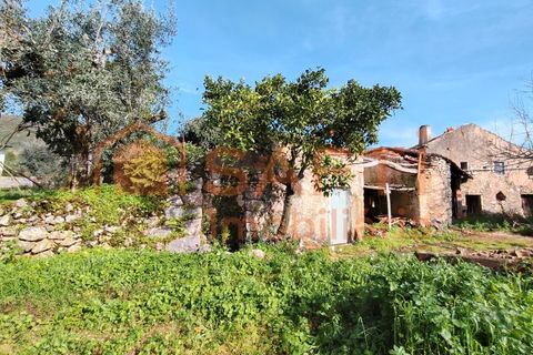 Villa a Alvaiazere, Leiria, Alvaiazere - € 56.500 | Ref: SAFTI:007747 - foto 35