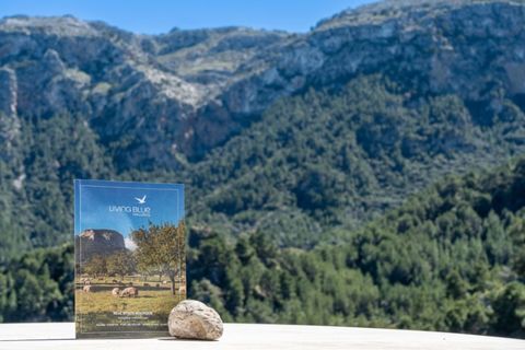 Landejendom i Deia, Mallorca, Deia - € 1.990.000 | Ref: 7278 - foto 15