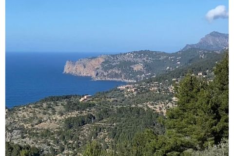 Landejendom i Deia, Mallorca, Deia - € 1.990.000 | Ref: 7278 - foto 16