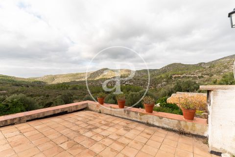 Villa i Olivella, Barcelona, Olivella - € 735.000 | Ref: VBG2604001 - foto 26