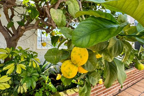Villa i Nerja, Malaga, Nerja - € 360.000 | Ref: JG1045TPM - foto 11
