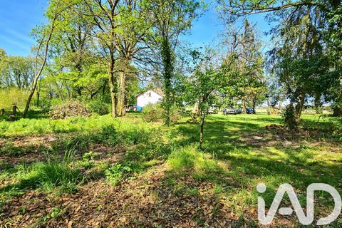 Villa a Pissos, Landes, Pissos - € 205.000 | Ref: 73477 - foto 4