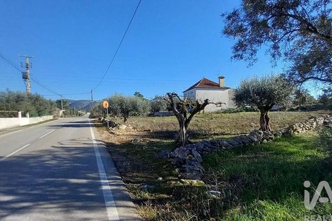 Byhus i Alcobaca, Leiria, Alcobaca - € 290.000 | Ref: 836962 - foto 5